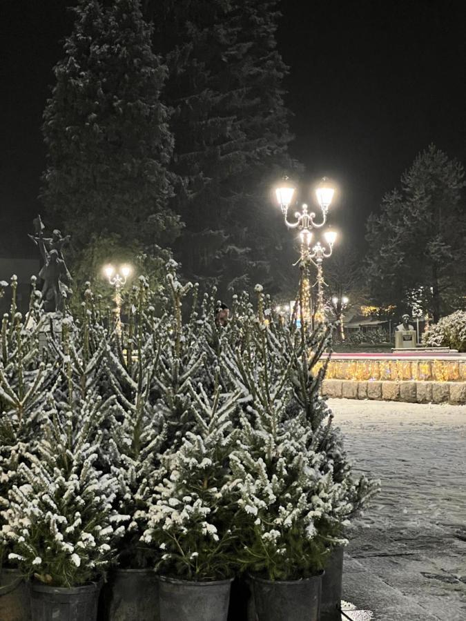 Laf Guest House Kolasin Luaran gambar