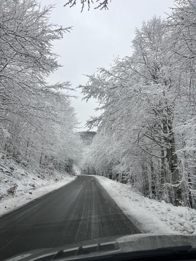 Laf Guest House Kolasin Luaran gambar